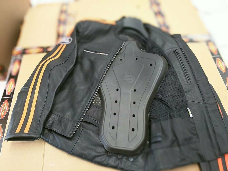 Protection dorsale blouson moto